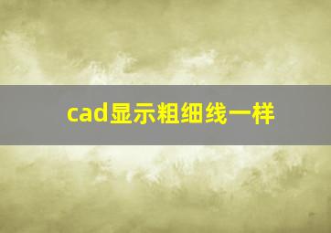 cad显示粗细线一样