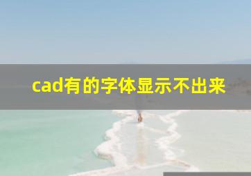 cad有的字体显示不出来