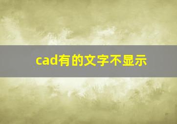 cad有的文字不显示