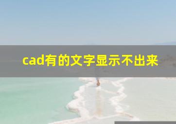 cad有的文字显示不出来