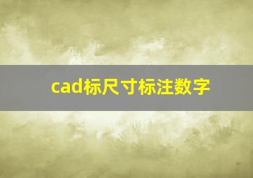 cad标尺寸标注数字