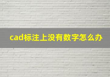 cad标注上没有数字怎么办