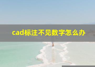 cad标注不见数字怎么办