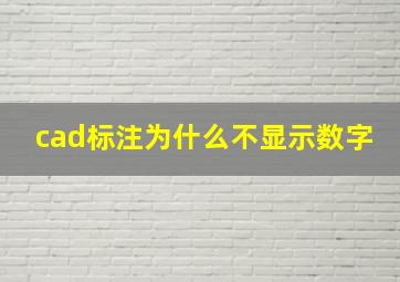 cad标注为什么不显示数字