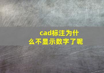 cad标注为什么不显示数字了呢