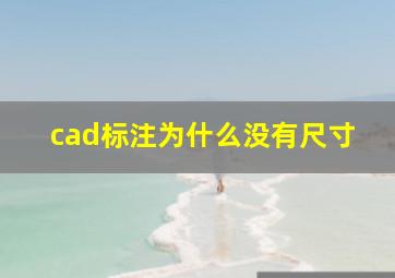 cad标注为什么没有尺寸