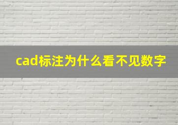 cad标注为什么看不见数字