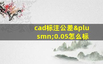 cad标注公差±0.05怎么标