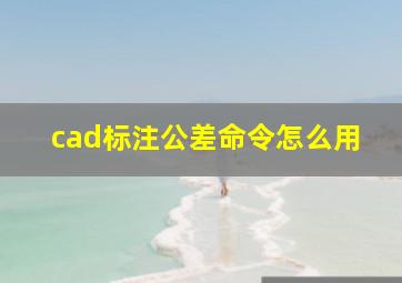 cad标注公差命令怎么用