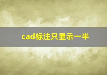 cad标注只显示一半