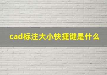 cad标注大小快捷键是什么