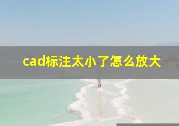 cad标注太小了怎么放大