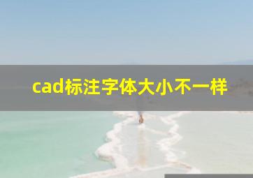 cad标注字体大小不一样