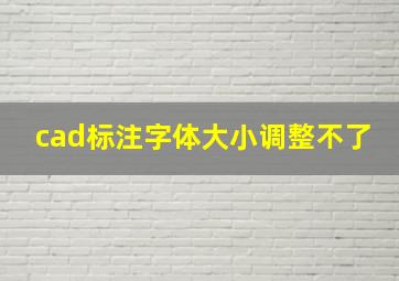 cad标注字体大小调整不了