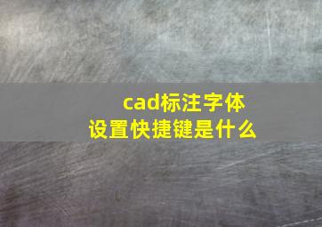 cad标注字体设置快捷键是什么