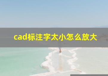 cad标注字太小怎么放大