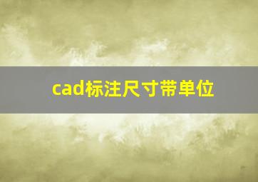 cad标注尺寸带单位