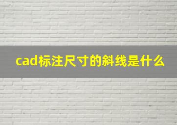 cad标注尺寸的斜线是什么