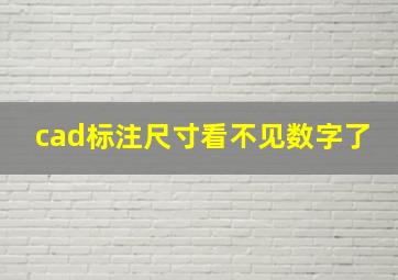 cad标注尺寸看不见数字了