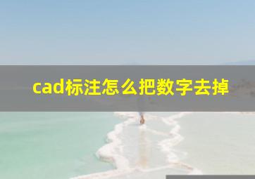 cad标注怎么把数字去掉