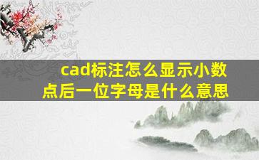 cad标注怎么显示小数点后一位字母是什么意思