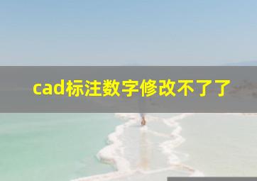 cad标注数字修改不了了