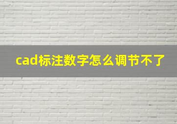 cad标注数字怎么调节不了