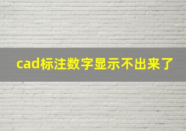 cad标注数字显示不出来了