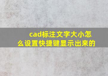 cad标注文字大小怎么设置快捷键显示出来的