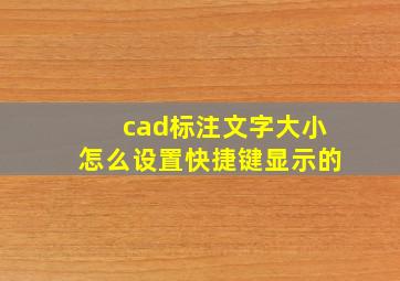 cad标注文字大小怎么设置快捷键显示的