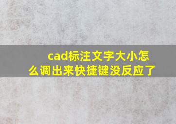 cad标注文字大小怎么调出来快捷键没反应了