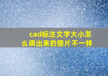 cad标注文字大小怎么调出来的图片不一样