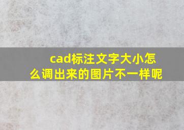 cad标注文字大小怎么调出来的图片不一样呢