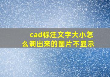 cad标注文字大小怎么调出来的图片不显示