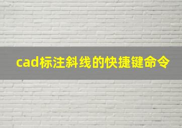 cad标注斜线的快捷键命令