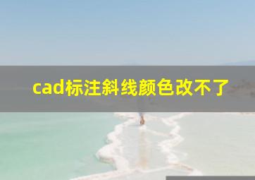 cad标注斜线颜色改不了