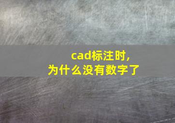 cad标注时,为什么没有数字了