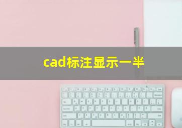 cad标注显示一半