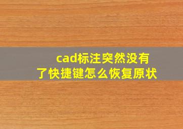 cad标注突然没有了快捷键怎么恢复原状