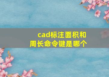 cad标注面积和周长命令键是哪个