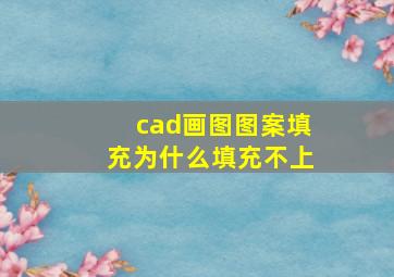 cad画图图案填充为什么填充不上