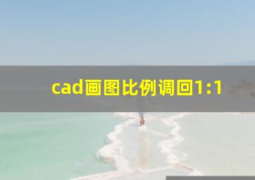 cad画图比例调回1:1