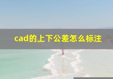 cad的上下公差怎么标注