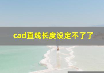 cad直线长度设定不了了