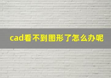 cad看不到图形了怎么办呢