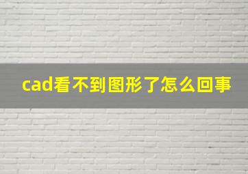 cad看不到图形了怎么回事