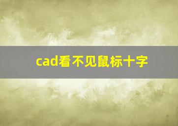 cad看不见鼠标十字