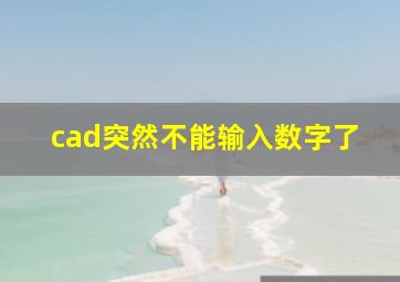 cad突然不能输入数字了