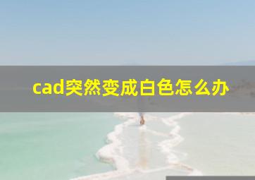 cad突然变成白色怎么办