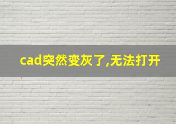 cad突然变灰了,无法打开